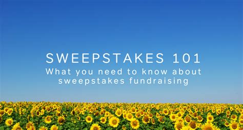 SWEEPSTAKES 101 .